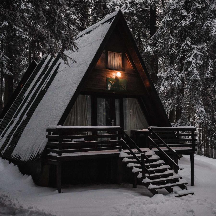 Villas Jagoda & Malina Borovets Esterno foto