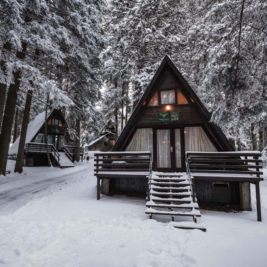 Villas Jagoda & Malina Borovets Esterno foto