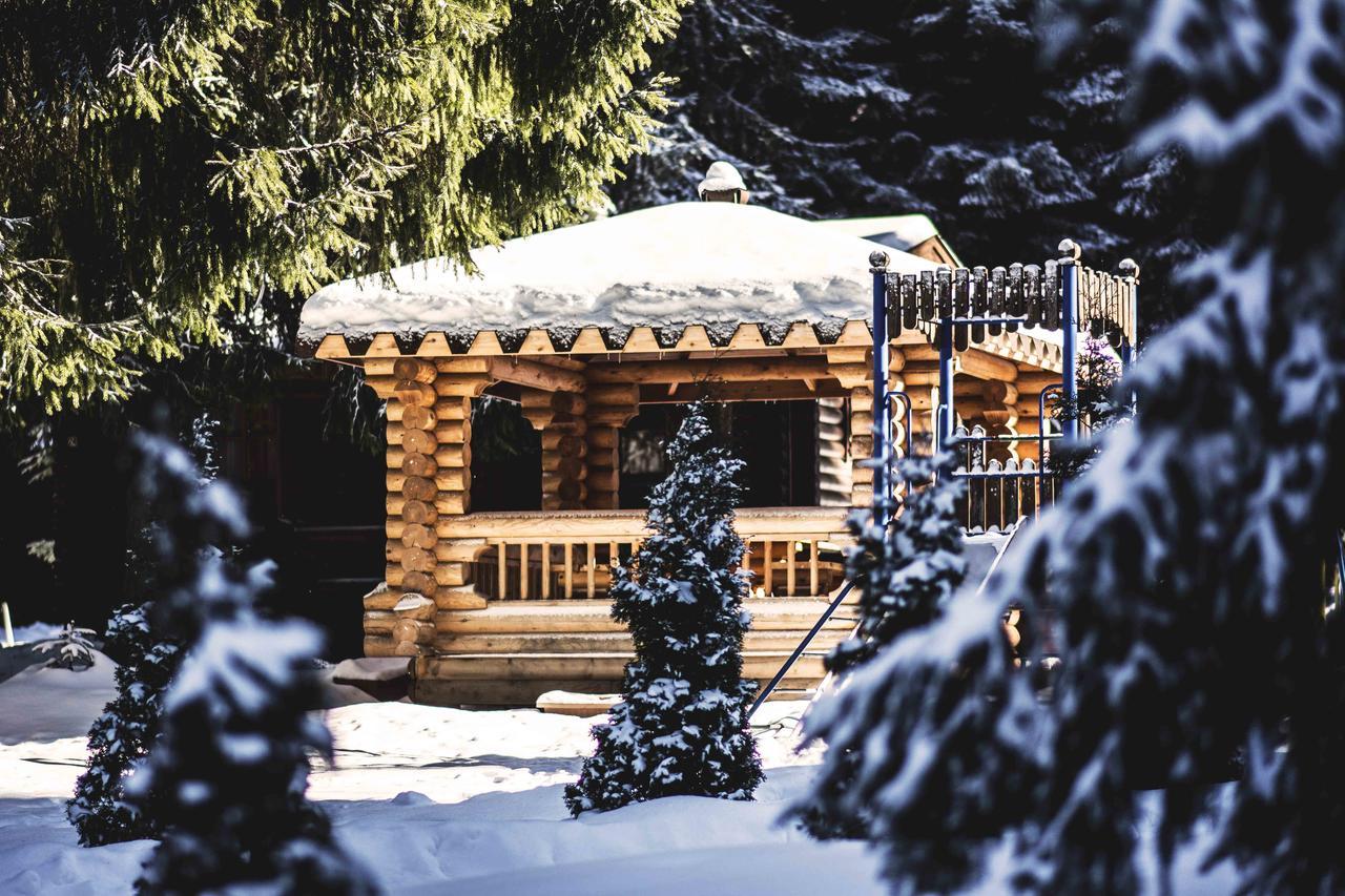 Villas Jagoda & Malina Borovets Esterno foto